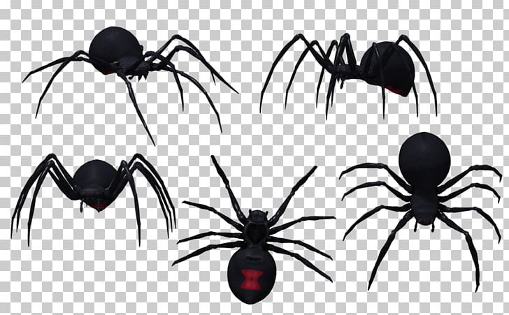 Spider Drawing Latrodectus Tredecimguttatus Southern Black Widow PNG, Clipart, Arachnid, Art, Arthropod, Black Widow, Comic Free PNG Download