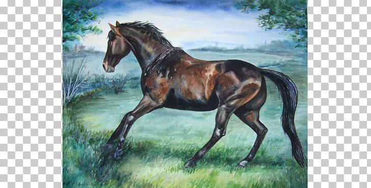 Stallion Watercolor Painting Foal Mustang PNG, Clipart, Acrylic Paint, Art, Bay, Bridle, Colt Free PNG Download