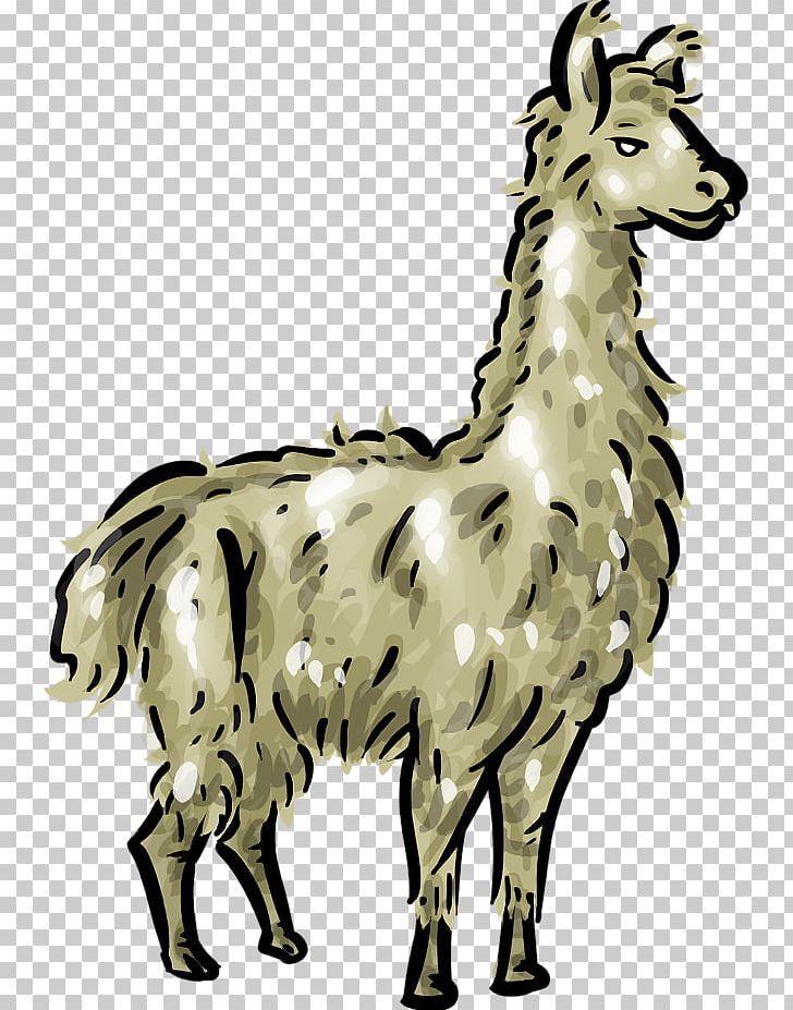 Llama PNG, Clipart, Black And White, Camel Like Mammal, Cartoon, Drawing, Free Content Free PNG Download