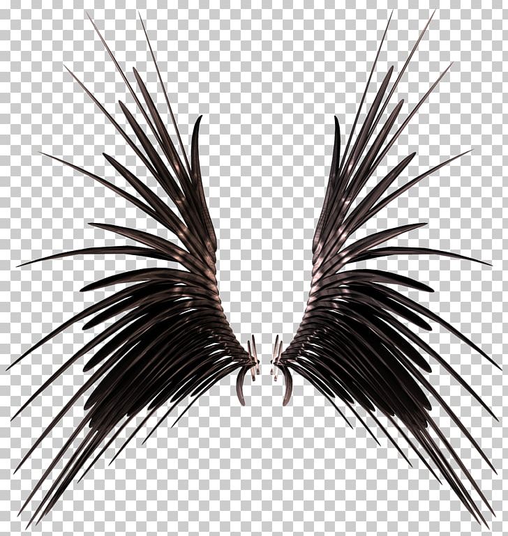 Stock Photography Wing PNG, Clipart, Angel, Angel Wings, Art, Background Black, Black Free PNG Download
