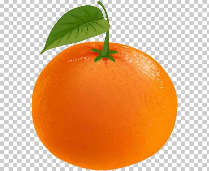 Clementine Mandarin Orange Tangerine Blood Orange PNG, Clipart, Blood Orange, Citrus, Clementine, Clip, Diet Food Free PNG Download