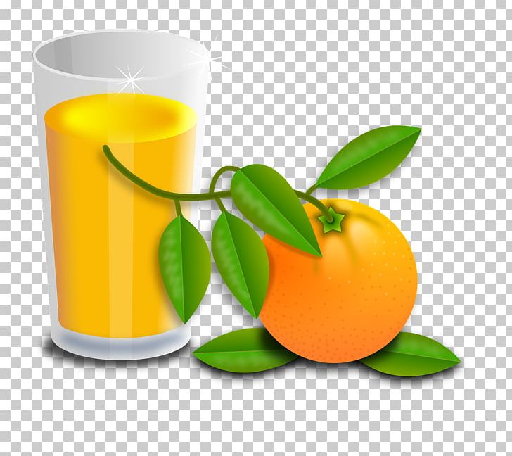 Orange Juice PNG, Clipart, Chef, Citric Acid, Citrus, Flowerpot, Food Free PNG Download