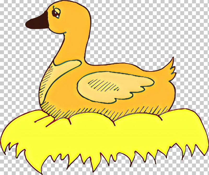 Bird Yellow Ducks, Geese And Swans Duck Beak PNG, Clipart, Beak, Bird, Duck, Ducks Geese And Swans, Goose Free PNG Download