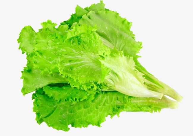 Lettuce Leaves Vegetables PNG, Clipart, Cooking, Ingredients, Leaves, Leaves Clipart, Lettuce Free PNG Download