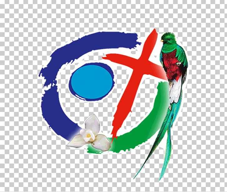 Fifth Episcopal Conference Of Latin America Christian Mission Missionary Aparecida PNG, Clipart, Aparecida, Christ, Christian Mission, Church, Evangelism Free PNG Download