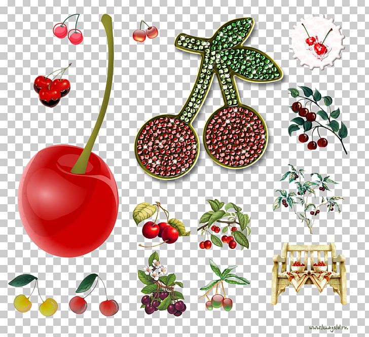 Cherry Cerasus PNG, Clipart, Cerasus, Cherry, Christmas Decoration, Desktop Wallpaper, Digital Image Free PNG Download