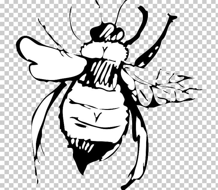 Drawing Bee PNG, Clipart, Art, Artwork, Bee, Black, Black And White Free PNG Download