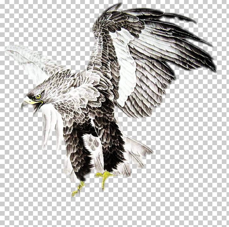 Ink Wash Painting Shan Shui PNG, Clipart, Accipitriformes, Animals, Art, Bald Eagle, Beak Free PNG Download