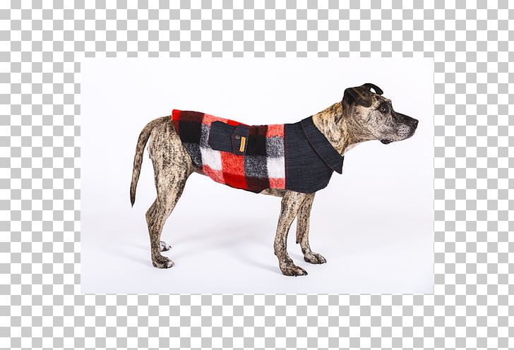 Dog Breed Dog Clothes Clothing PNG, Clipart, Animals, Breed, Clothing, Collar, Dog Free PNG Download