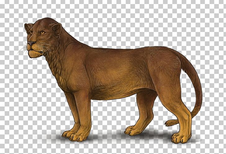 Lion Tiger PNG, Clipart, Animal, Animals, Big Cat, Big Cats, Carnivoran Free PNG Download