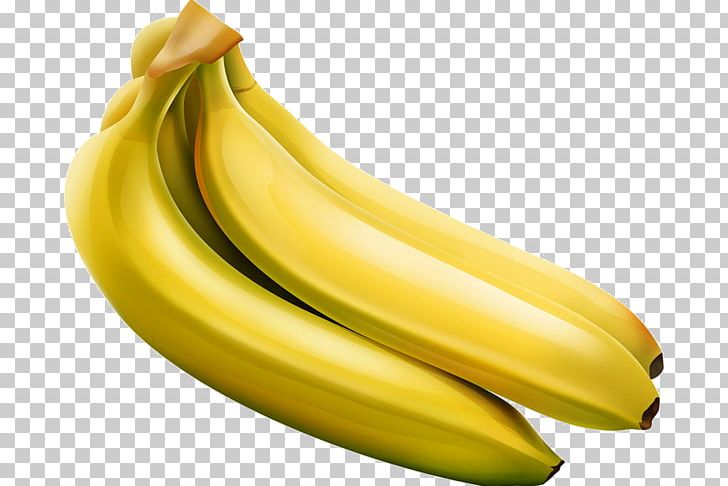 Saba Banana Cooking Banana Fruit Vegetable PNG, Clipart, Banana, Banana Family, Commodity, Cooking Banana, Cooking Plantain Free PNG Download