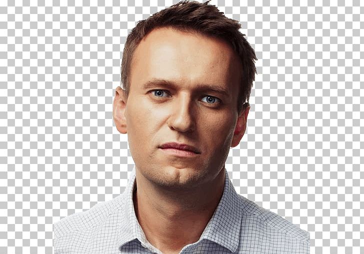 Alexei Navalny Butyn' Anti-Corruption Foundation The Term Election PNG, Clipart, Alexei Navalny, Alisher Usmanov, Ant, Miscellaneous, Others Free PNG Download