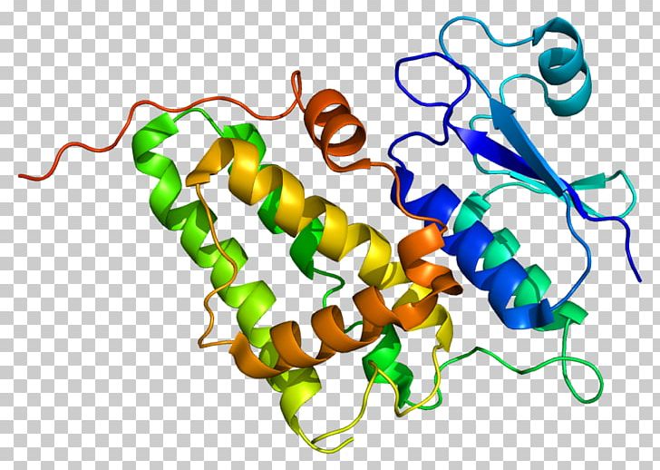 CLIC4 Aquaporin 4 Protein Gene Chloride Channel PNG, Clipart, Antibody, Aquaporin, Area, Body Jewelry, Chloride Free PNG Download