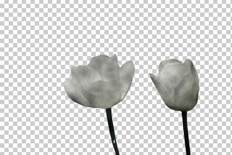 Tulip Leaf Black-and-white Petal Flower PNG, Clipart, Blackandwhite, Flower, Herbaceous Plant, Leaf, Lily Family Free PNG Download