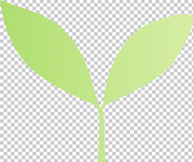 Leaf Green Plant Flower Tree PNG, Clipart, Bud, Eucalyptus, Flower, Flush, Green Free PNG Download