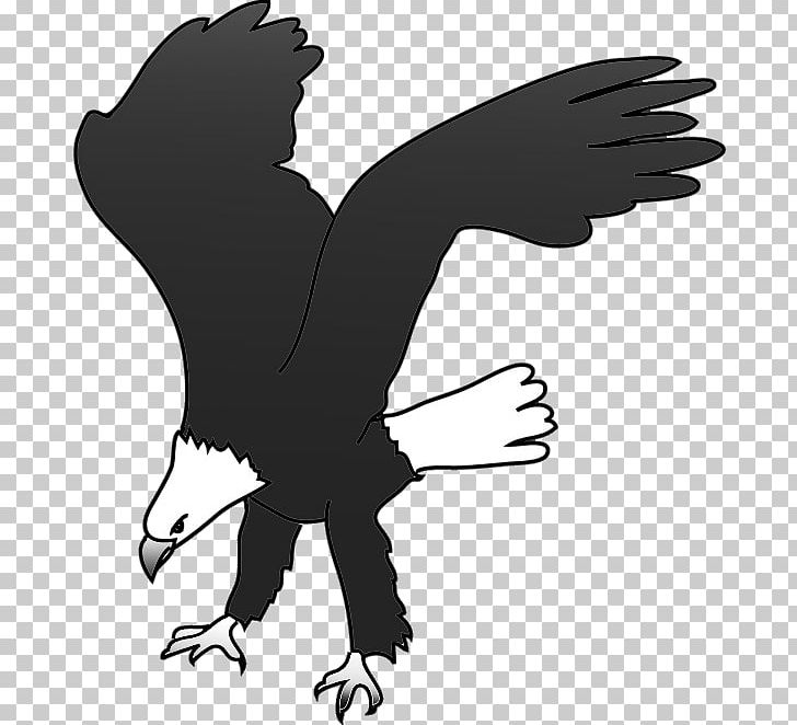 Eagle Silhouette Bird Drawing PNG, Clipart, Animals, Bald Eagle, Beak, Bird, Bird Of Prey Free PNG Download
