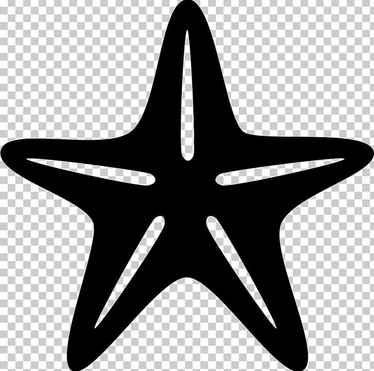 Starfish Computer Icons Symbol PNG, Clipart, Animals, Black, Black And White, Common Starfish, Computer Icons Free PNG Download