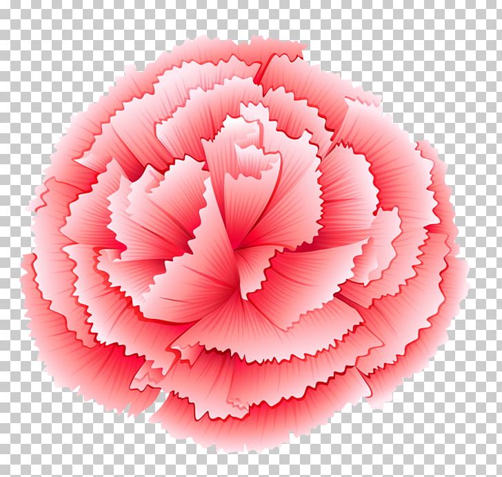 Carnation Pink Flowers Stock Photography Stock Illustration PNG, Clipart, Beautiful, Carnation, Carnation Pink, Flower, Flower Bouquet Free PNG Download