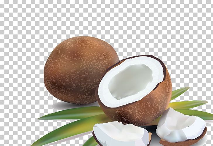 Coconut Water Coconut Milk PNG, Clipart, Arecaceae, Coconut, Coconut Leaf, Coconut Leaves, Coconut Milk Free PNG Download