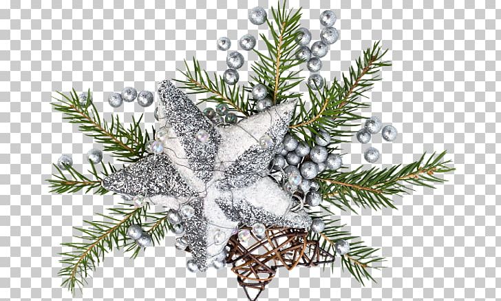 Fir Christmas Ornament Spruce Christmas Tree Twig PNG, Clipart, Branch, Christmas, Christmas Decoration, Christmas Ornament, Christmas Tree Free PNG Download