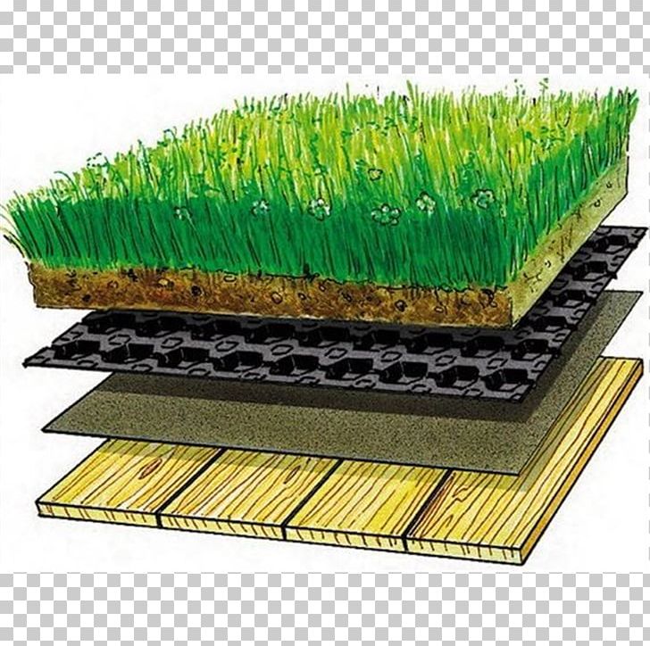 Sod Roof Green Roof Dachdeckung Drainage PNG, Clipart, Birch Bark, Building, Corrugated Galvanised Iron, Dachdeckung, Drainage Free PNG Download