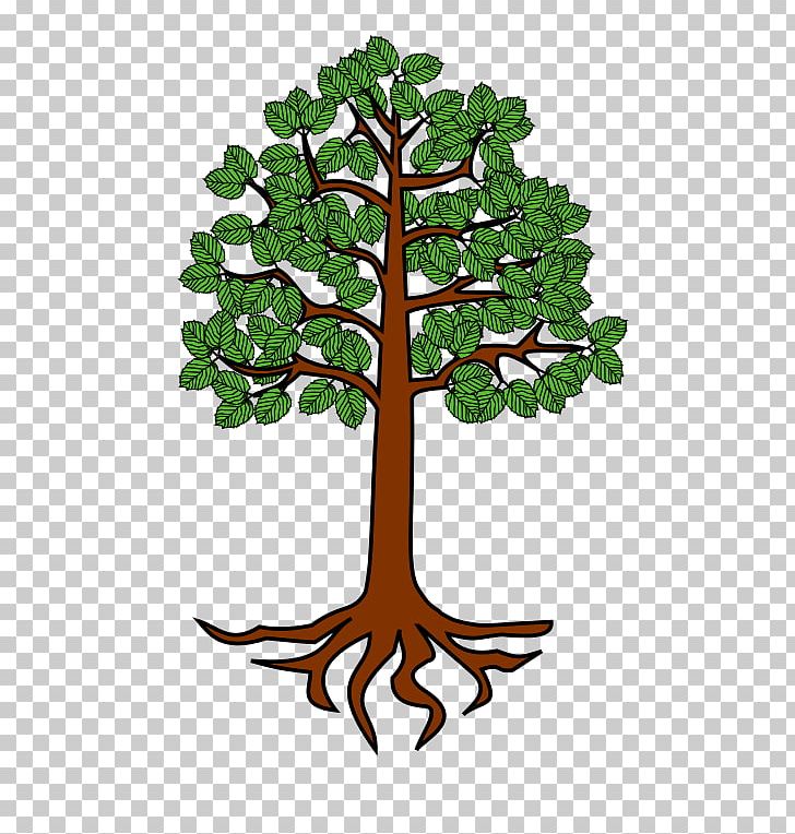 Tree Root Trunk PNG, Clipart, Alder, Branch, Clip Art, Drawing, Flowerpot Free PNG Download