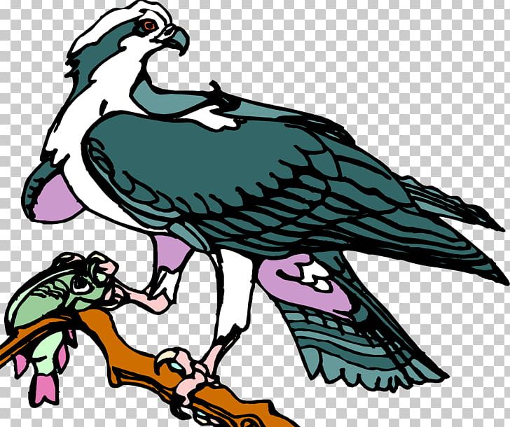 Bird Of Prey Beak Art PNG, Clipart, Animals, Art, Art Museum, Artwork, Beak Free PNG Download