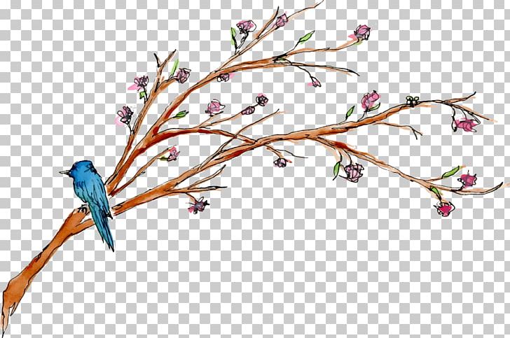 Cut Flowers Twig Wreath Branch PNG, Clipart, Beak, Bird, Blossom, Body Jewelry, Branch Free PNG Download