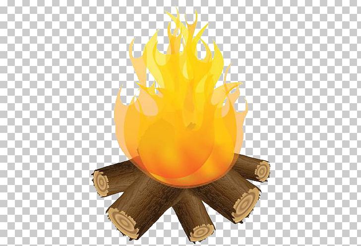 Flame Light Fire PNG, Clipart, Adobe Fireworks, Bonfire, Combustion, Drawing, Fire Free PNG Download