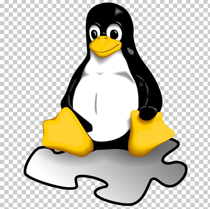Linux Operating Systems Installation Computer Software PNG, Clipart, Beak, Bird, Booting, Cinnamon, Computer Free PNG Download