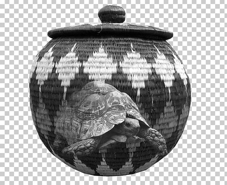 Monochrome Photography Reptile Black And White PNG, Clipart, Artifact, Black, Black And White, Miscellaneous, Monochrome Free PNG Download
