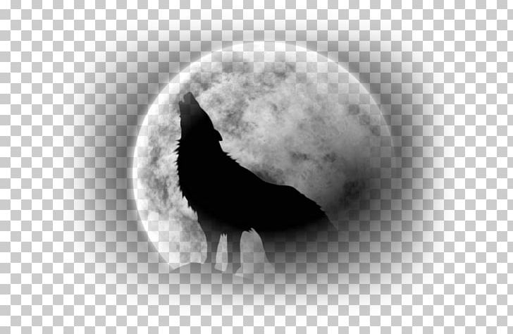 Red Fox Werewolf Herd Dog Red Wolf PNG, Clipart, Astronomical Object, Atmosphere, Aullido, Black And White, Body Worn Video Free PNG Download