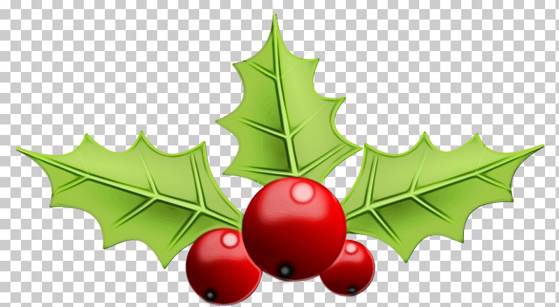 Christmas Decoration PNG, Clipart, American Holly, Christmas Decoration, Christmas Tree, Evergreen, Holly Free PNG Download