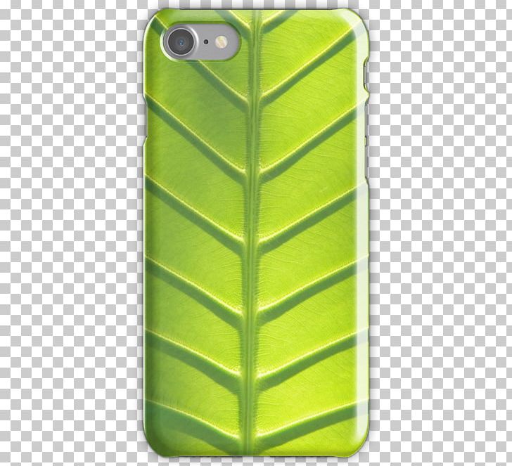 Banana Leaf Plants Desktop PNG, Clipart, 500px, Art, Banana Leaf, Desktop Wallpaper, Drawing Free PNG Download