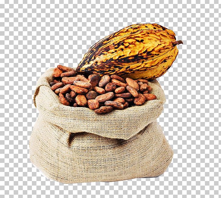 Criollo Cocoa Bean Trinitario Cocoa Solids Chocolate PNG, Clipart, Almond, Almond Milk, Almond Nut, Almond Nuts, Almond Pudding Free PNG Download