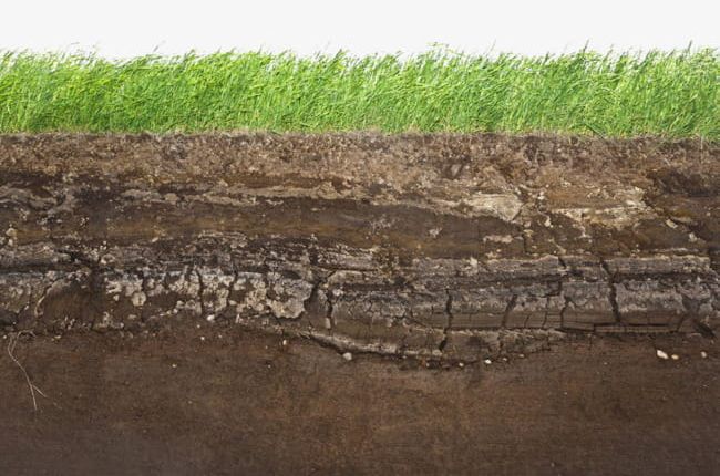 Grass Cross Section Of The Land PNG, Clipart, Cross Clipart, Grass Clipart, Grassland, Land, Land Clipart Free PNG Download