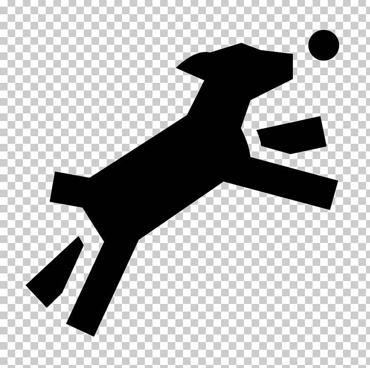 Dog Park Pembroke Welsh Corgi Computer Icons Leash PNG, Clipart, Angle, Ball, Black, Black And White, Canidae Free PNG Download