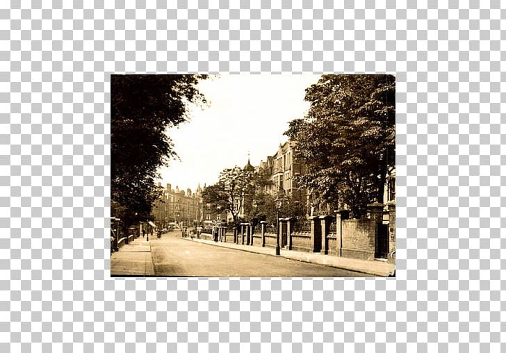 Hampstead Heath Fitzjohn's Avenue Stock Photography PNG, Clipart,  Free PNG Download