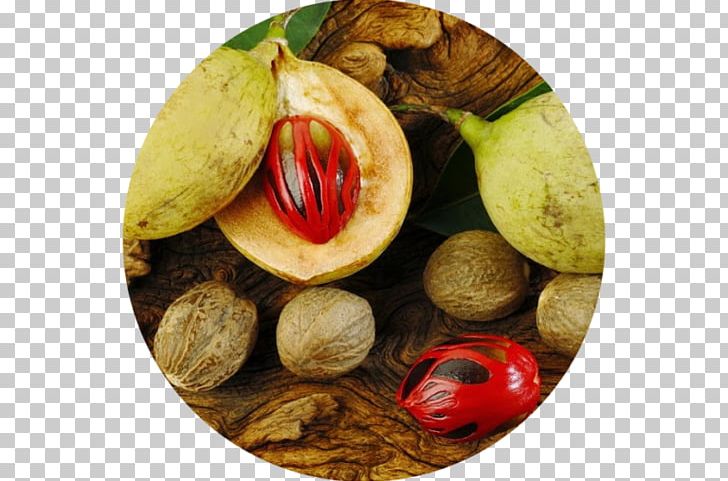 Nutmeg Banda Islands Mace Seed Flavor PNG, Clipart, Aril, Auglis, Avocado, Banda Islands, Benih Free PNG Download