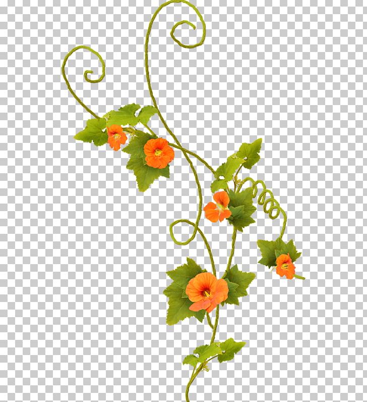 Floral Design Flower PNG, Clipart, Branch, Cut Flowers, Elfe, Flora, Floral Design Free PNG Download