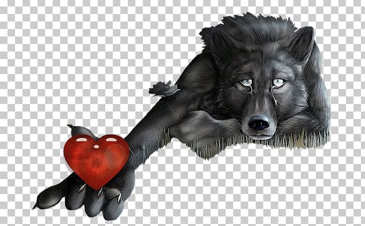 Lone Wolf Broken Heart Love PNG, Clipart,  Free PNG Download