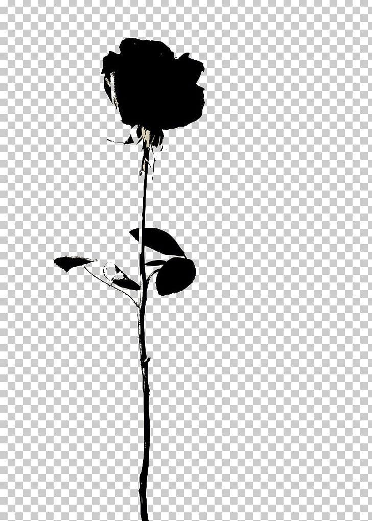 Rose Flower Icon PNG, Clipart, Beach Rose, Black, Black And White, Black Rose, Color Free PNG Download