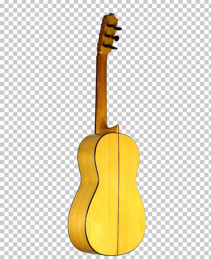 Acoustic Guitar Bass Guitar Tiple Cuatro Cavaquinho PNG, Clipart, Acousticelectric Guitar, Bass Guitar, Bass Violin, Cavaquinho, Cuatro Free PNG Download