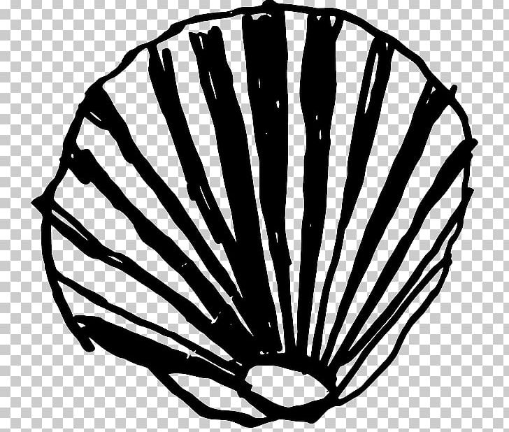 Clam Seashell Conch PNG, Clipart, Animals, Black And White, Clam, Conch, Conchology Free PNG Download