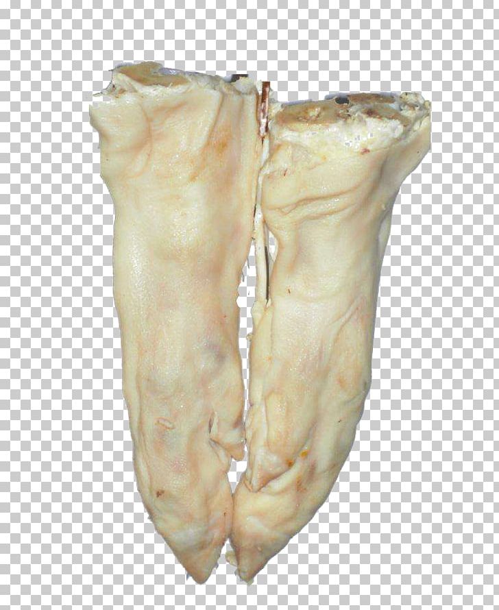 Domestic Pig Pigs Trotters Pork Food PNG, Clipart, Animal Source Foods, Cartoon, Cooking, Curing, Domestic Pig Free PNG Download