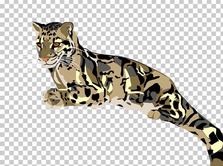 Felidae Cheetah Ocelot Amur Leopard Clouded Leopard PNG, Clipart, Amur Leopard, Animal, Animal Figure, Animal Print, Animals Free PNG Download