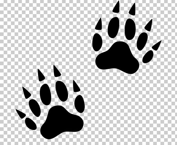 Paw Wolverine Tiger Cat Dog PNG, Clipart, Animal, Animal Track, Badger, Black, Black And White Free PNG Download