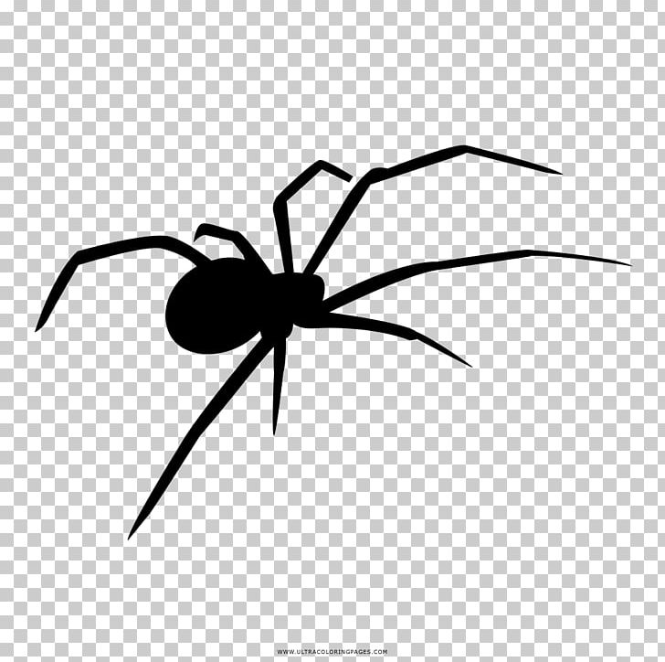 Widow Spiders Coloring Book Drawing Black And White PNG, Clipart, Accident, Angle, Arachnid, Arthropod, Artwork Free PNG Download