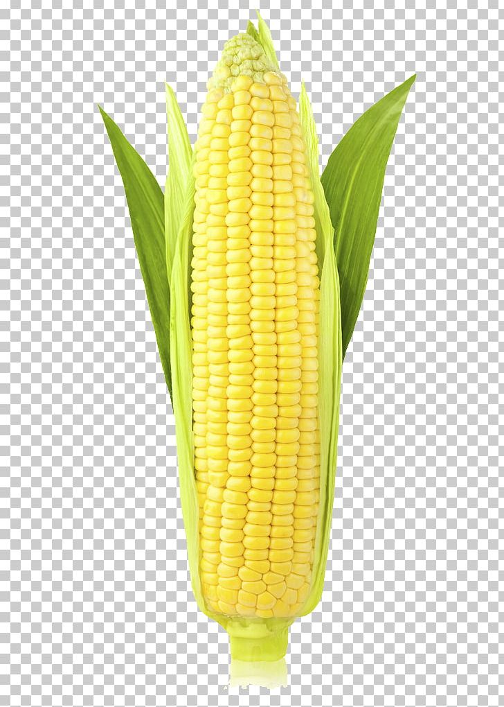 Corn On The Cob Maize Ear Sweet Corn Stock Photography PNG, Clipart, Cereal, Commodity, Corncob, Corn Kernel, Corn Kernels Free PNG Download