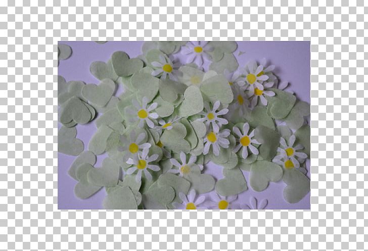 Petal Colony Of New Brunswick Common Daisy Confetti Tissue PNG, Clipart, Biodegradation, Colony Of New Brunswick, Common Daisy, Confetti, Flora Free PNG Download